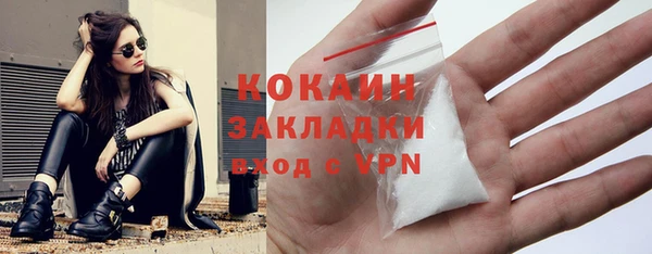 прущие грибы Нягань