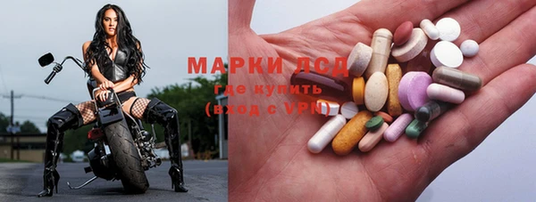 прущие грибы Нягань