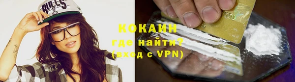 прущие грибы Нягань