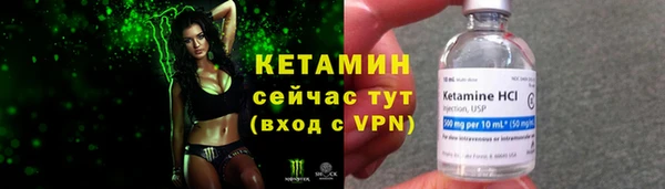 прущие грибы Нягань