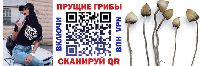 Галлюциногенные грибы MAGIC MUSHROOMS  Сурск 